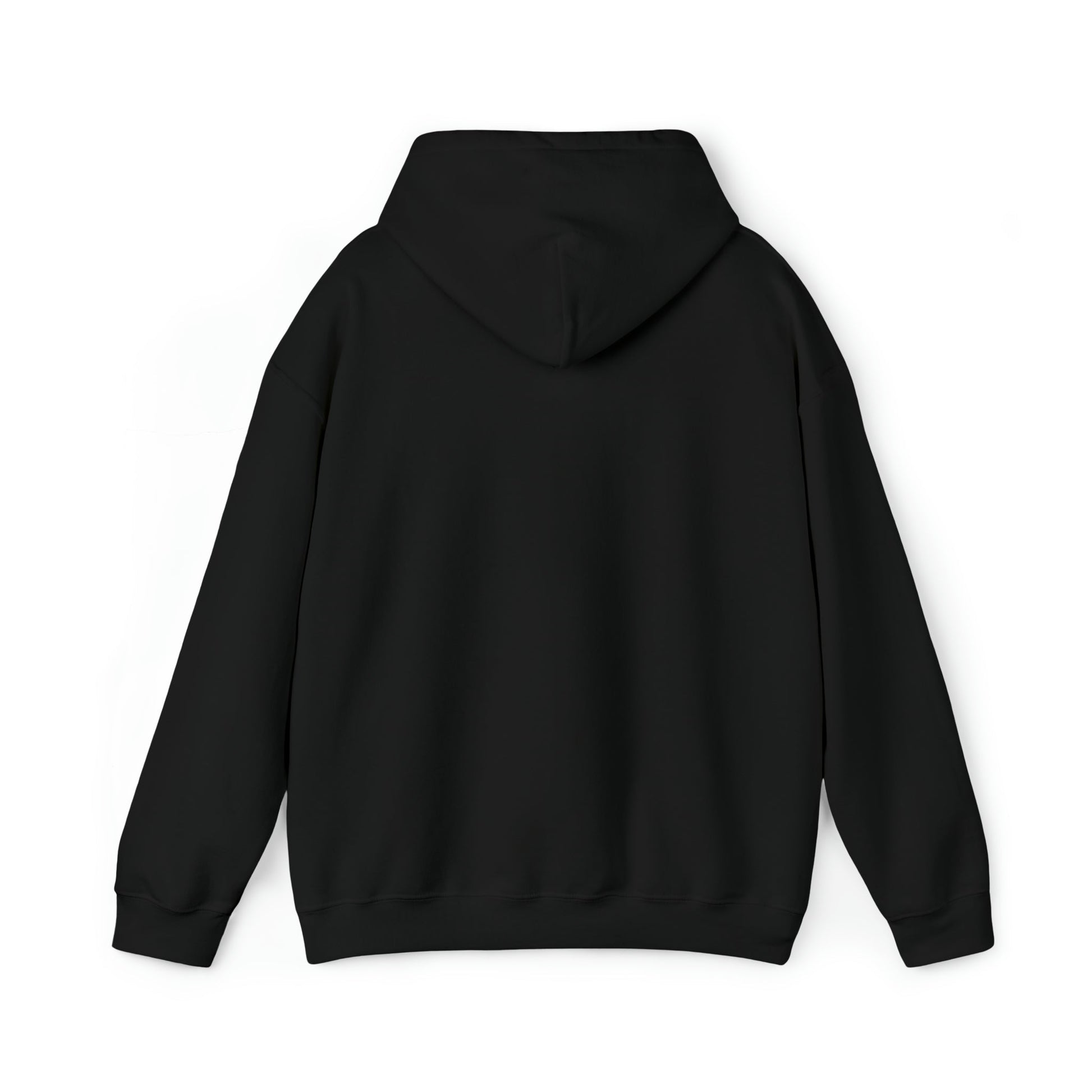 Aesthetic Hooded Sweatshirt - Kaysmar